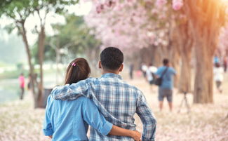 对方不会我怎么挽回,如何成功挽回TA的心