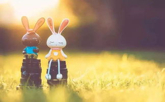 挽回局面必不可少,关键在于成功挽回情况下的必要措施