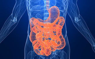 直肠男挽回对象说说，男子辛苦努力打动女神的心，是否终于得到回应？