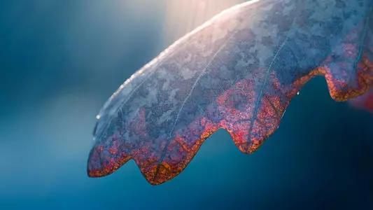 天蝎男挽回后又离开,天蝎男复合后再次分手