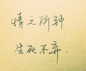 挽回感情的句子精辟,如何寻找挽回感情的秘诀