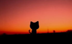 挽回感情和金钱的话,如何成功挽回爱情和财富