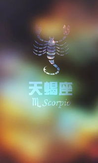 怎么挽回狠心的天蝎,如何挽回狠心的天蝎座？