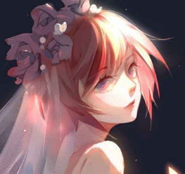 强势女孩跪下挽回男友,女孩为爱跪：江湖再见？