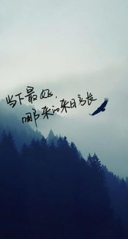 挽回旧情留恋的诗句,旧缘重铸，相思未了