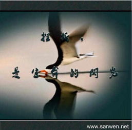 痛得无力去挽回,痛不欲生：挽回已成奢望