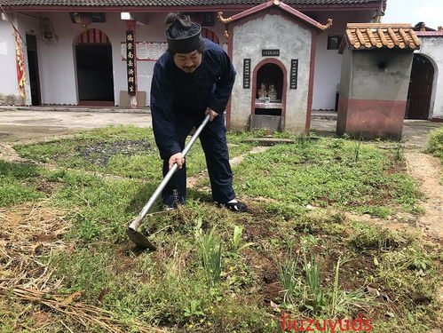 刘祖舆道长挽回,刘祖舆道长努力挽回乱局