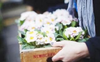 男子为了挽回女人送花,男子挽回爱情