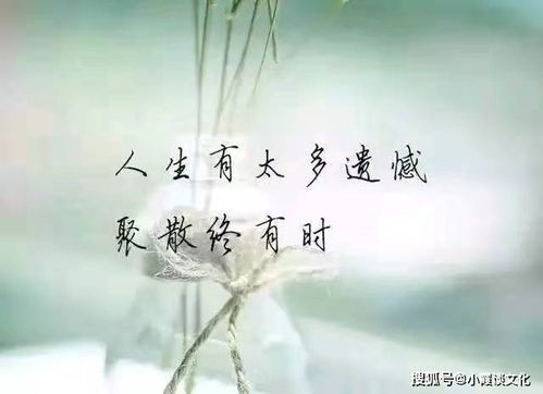 被伤透的心要如何挽回，失恋后如何拯救自己的内心？