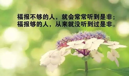 挽回自己爱人的歌,挽回爱人的心曲)