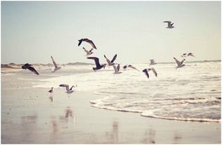 鸵鸟心态怎么挽回女人,如何用正确的态度挽回女人