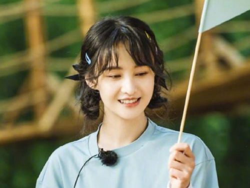 郑爽的人设存在挽回吗，郑爽能否修复受损人设？