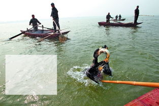 渔灾过后怎么挽回,渔民如何挽回灾后生计