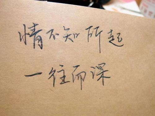 错过就没有挽回,失去就永远无法找回