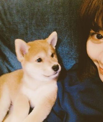 如今不当舔狗挽回,如何正确处理失恋分手？