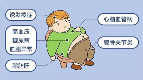 熬夜不睡觉怎么挽回，如何改善不睡觉对身体的损害？