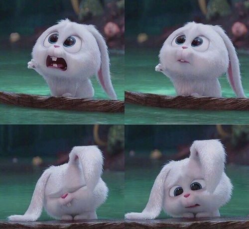 狮子女想挽回婚姻,狮子女努力挽救婚姻