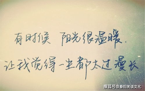 逝去无可挽回,已逝去的无法弥补