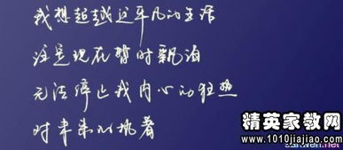 新产品挽回顾客,新品效果惊艳！成功挽回失去顾客)