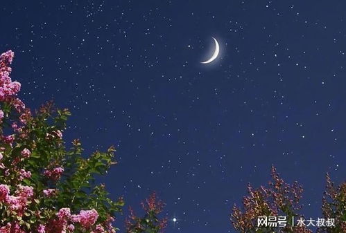 怎挽回射手座，如何拯救失落的射手座