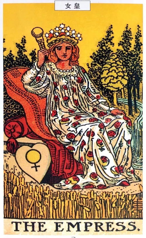 塔罗牌挽回他的方式,塔罗牌带你反思，挽回TA的爱情