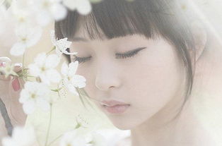 雨辰情感挽回小说,雨情刻骨：情感挽回小说