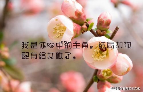 变了心的女人如何挽回，重新赢回变心女人的心得：你需要做的5件事