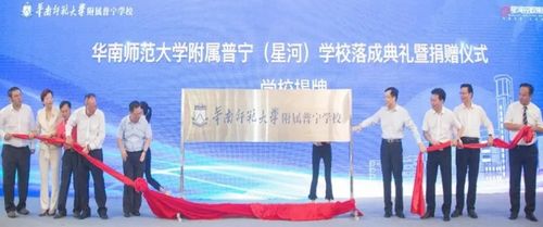 渡情学院挽回公司,重振渡情学院的未来