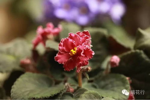 挽回花了好几千,如何挽回花费数千的浪费？