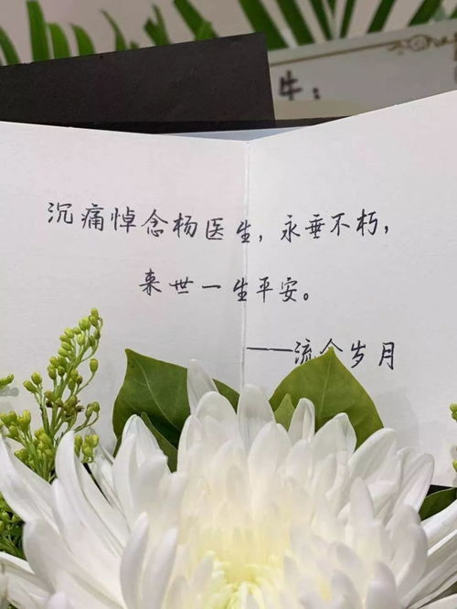 追思无法挽回的歌，无力回天的旋律：悼念之歌