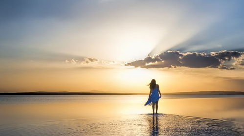 感情挽回婚姻爱情文案,重获婚姻爱情，实现感情预期