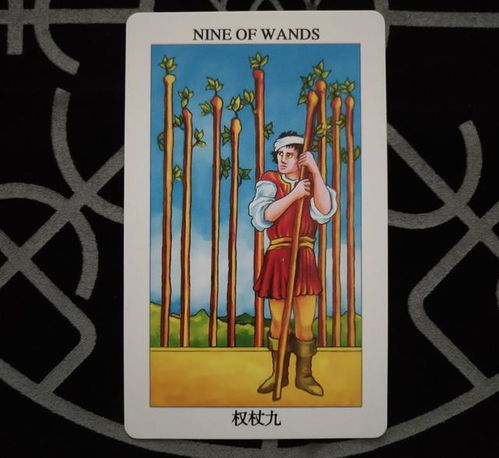 塔罗牌他会挽回吗,塔罗牌：他是否能挽回关系？