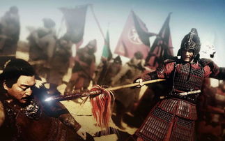 岳飞为什么挽回南宋,岳飞的南宋保卫之路