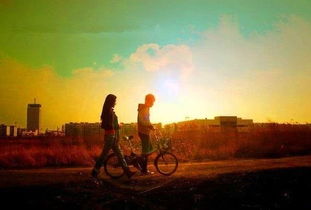 家暴后最好的挽回,重拾幸福，走出家暴阴影