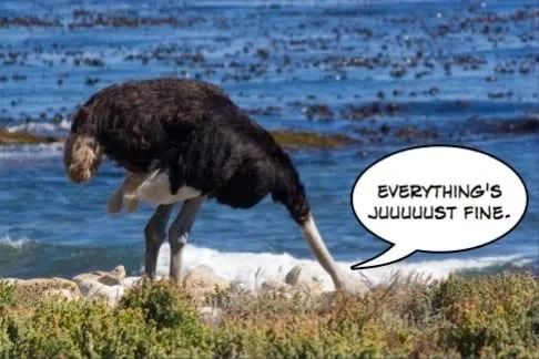 鸵鸟心态怎么挽回他,挽回TA的心，摆脱鸵鸟心态！)