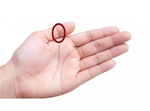 手贱失误怎么挽回,手误怎么补救？