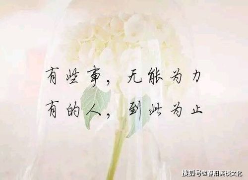 挽回对方的伤感句子,挽回伤感情，重拾爱与信任