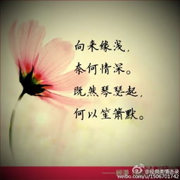 挽回语录文案爱情句子,用心挽回，爱情不远。