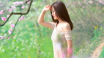 跨半个中国挽回,流连跨半中国，终挽回她的芳心