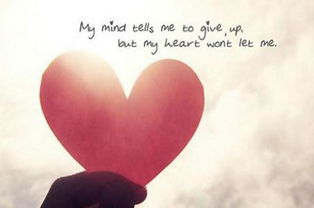 挽回甜蜜西红栖,重修旧梦寻回爱情