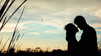 爱到放手挽回的歌，挽回失去的爱情：深情以待