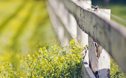 破镜重圆挽回的速度,复合再续前缘