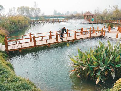 如何挽回生态损失,生态修复有术，再现自然风光