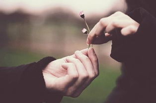 确定分手了还想挽回,如何挽回失去的爱情？