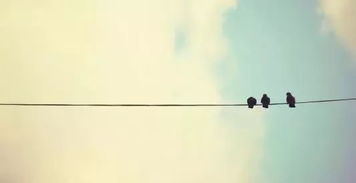 怎么挽回出轨天蝎男,挽回出轨天蝎男的有效方法