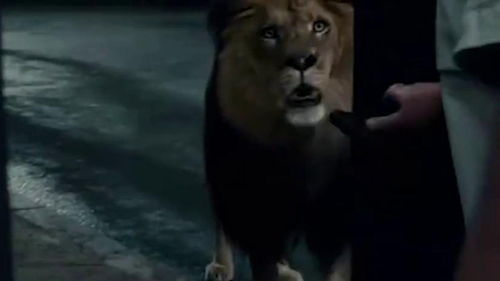 如何挽回狮子女生,如何成功挽回狮子女生？