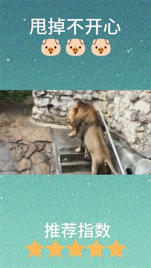 狮子男自尊怎么挽回,挽回狮子男自尊：方法大揭秘