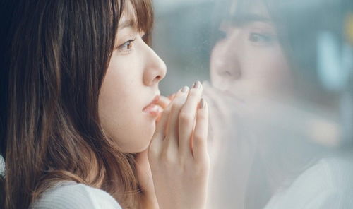 旧爱重温挽回前任,旧情复燃，挚爱重修前缘