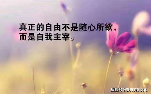 挽回女友的句子霸气,征服心灵，重获挚爱