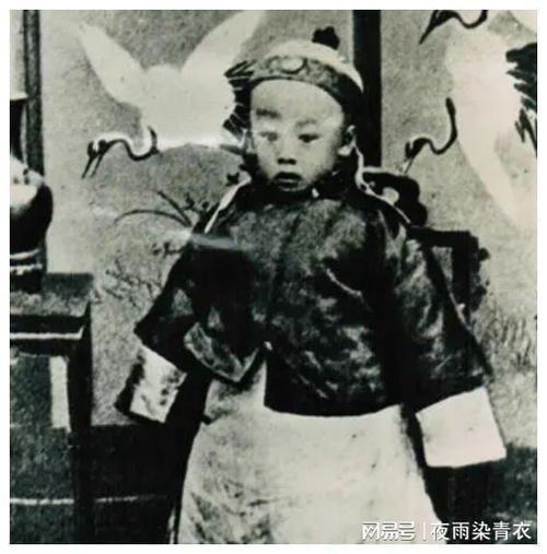 溥仪怎么挽回清朝的,溥仪如何救回清朝